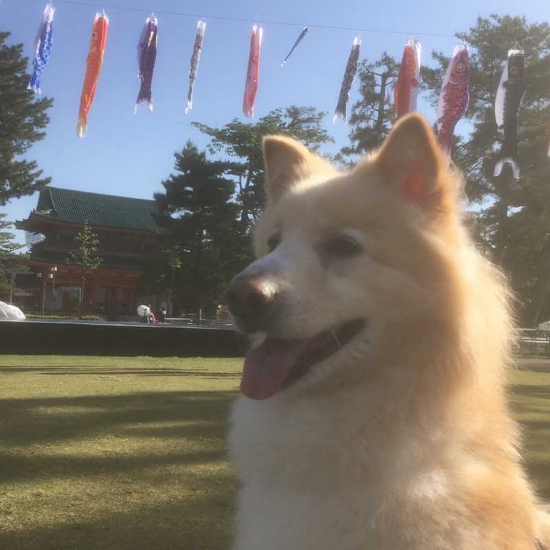 伊藤 大地