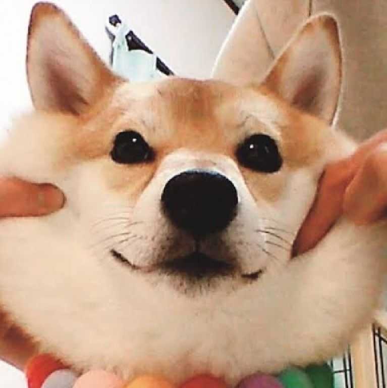 る