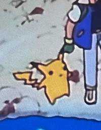 pocha