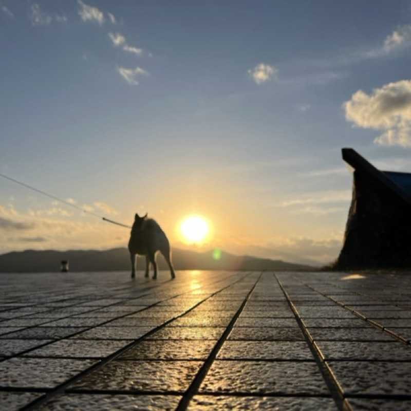 ユーザーアイコン