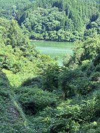 Mai Đăng Ngải