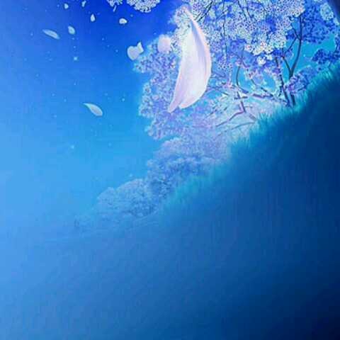 酒井