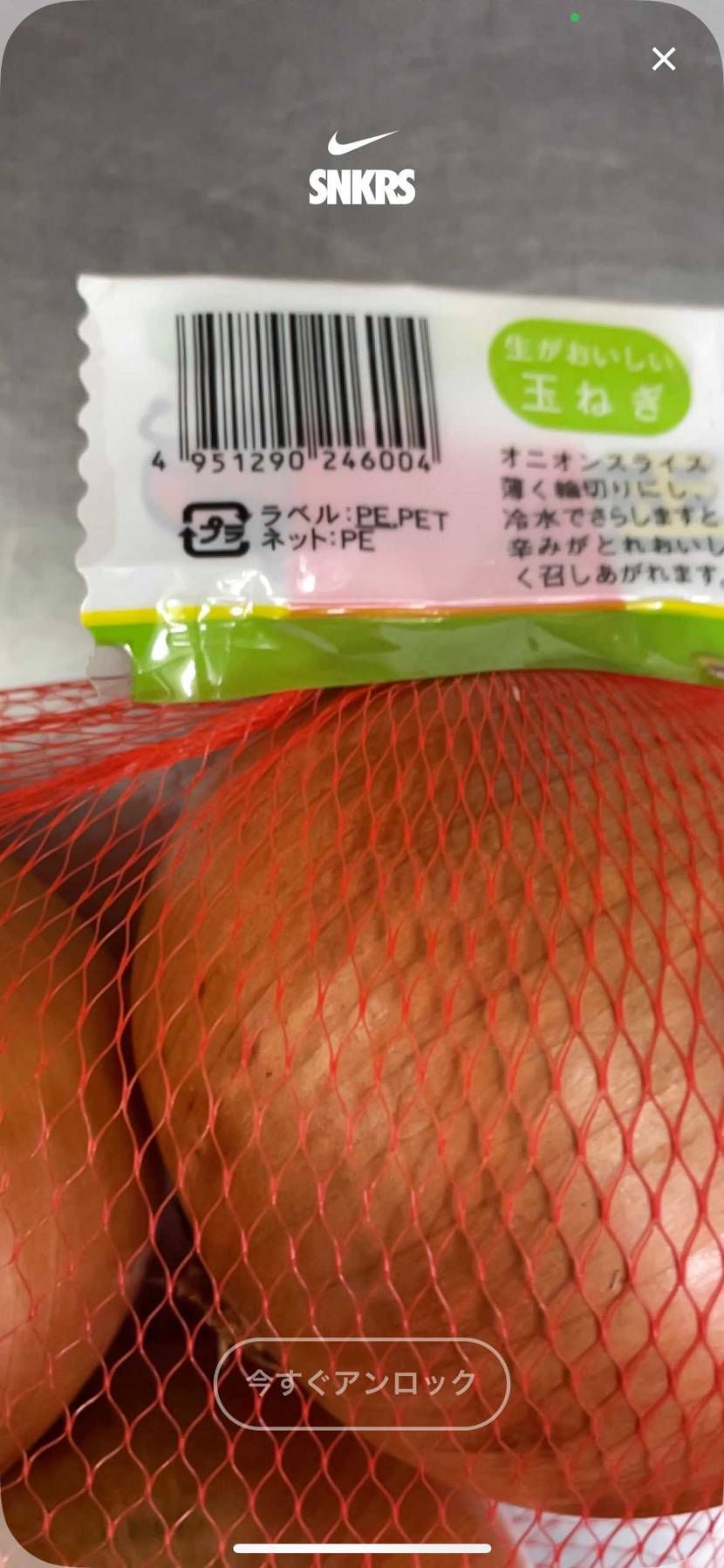 玉ねぎじゃあかんのか？