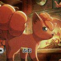 ロコン(出品者)
