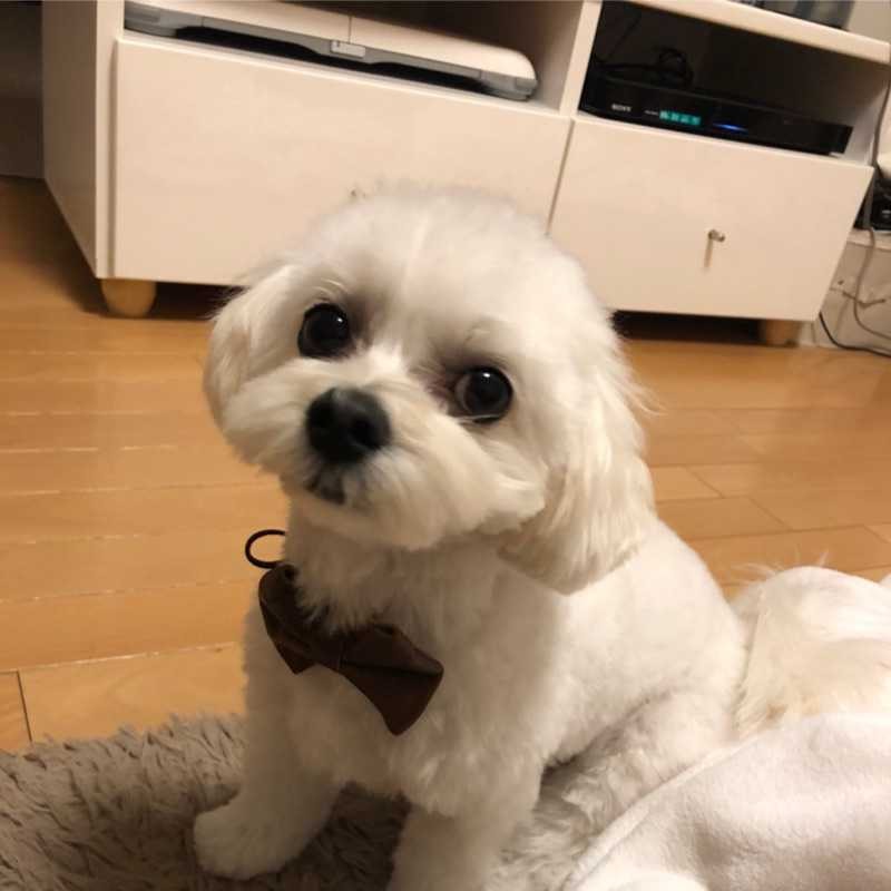 稜