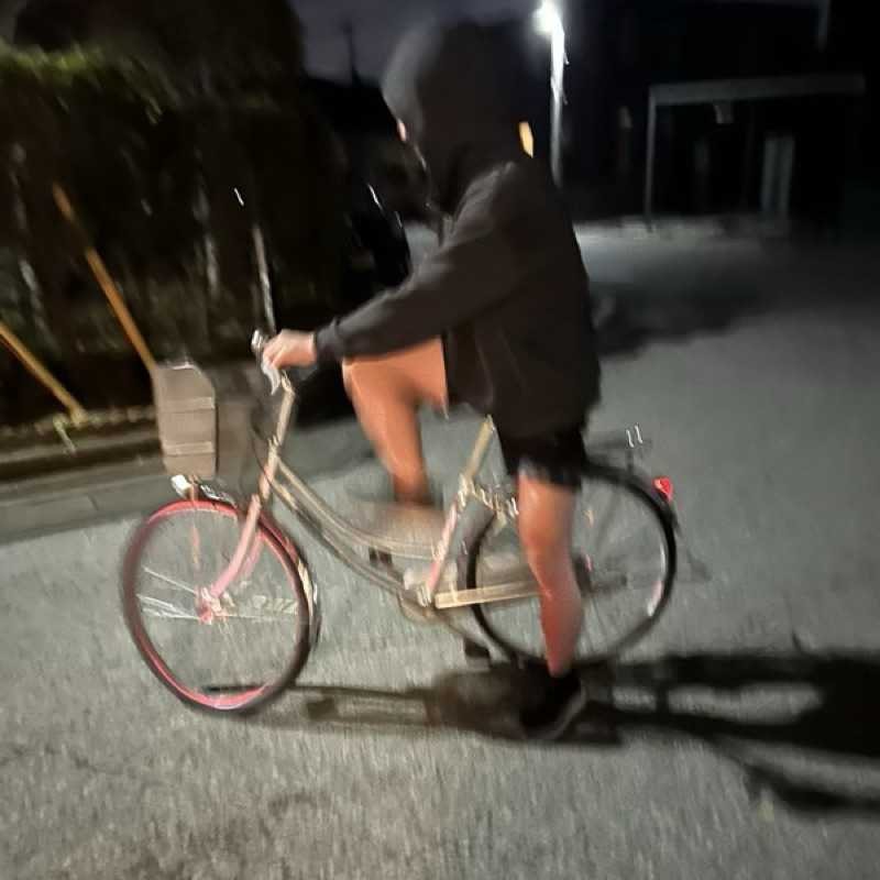 おがす