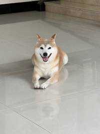 Kevin_Pang