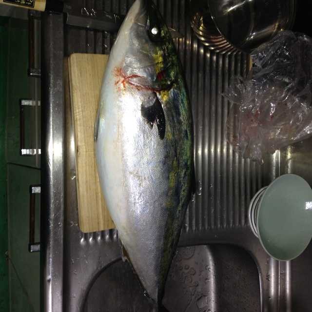 カズ