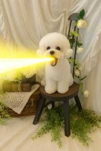 ユーザーアイコン