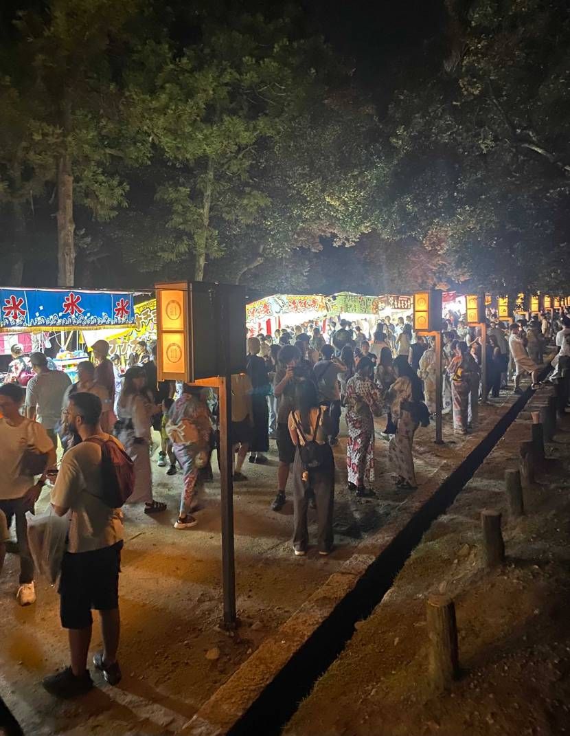 久々のオフホワダンクです🥴🫶で、昨日はなら燈花会に行ってきま