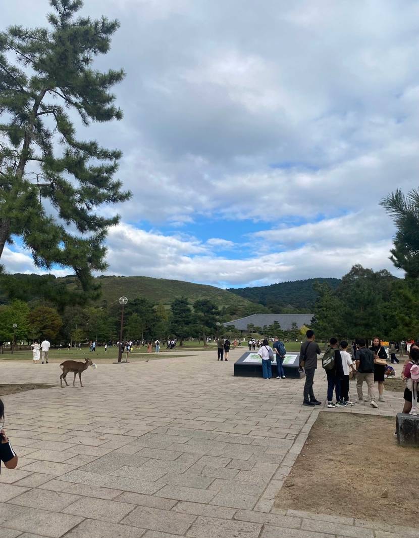 地元散歩してきました🥴🫶むっちゃ歩きましたが気候も良く気持ち