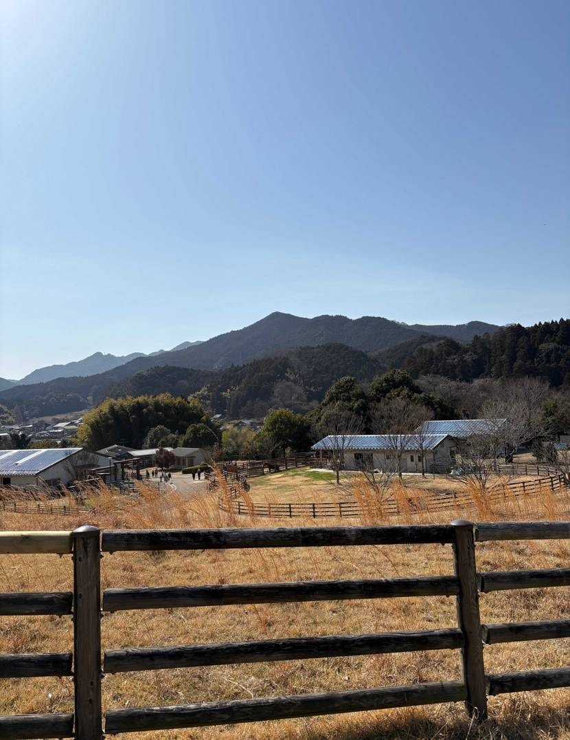 今日は暖かかったですね🥴🫶久々セラドン履いて出かけてきました