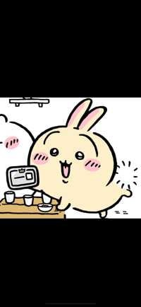 うさぎ(出品者)