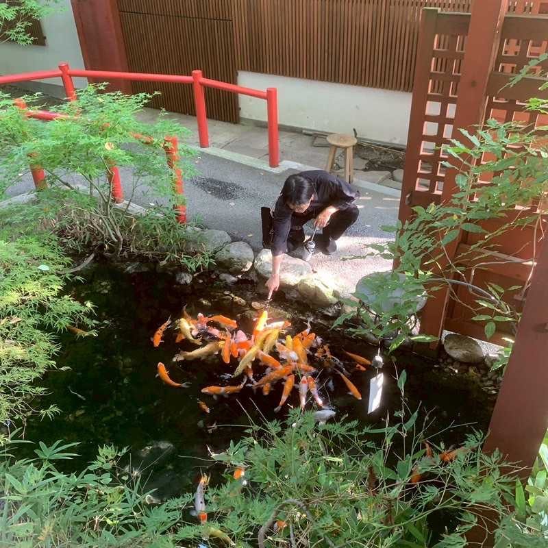 けいじゅ