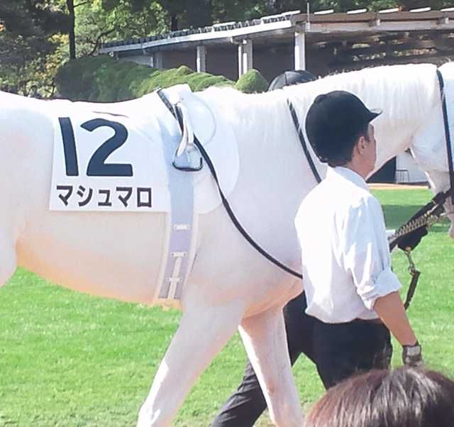 高林  良