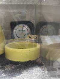 ユーザーアイコン