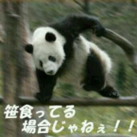 悟