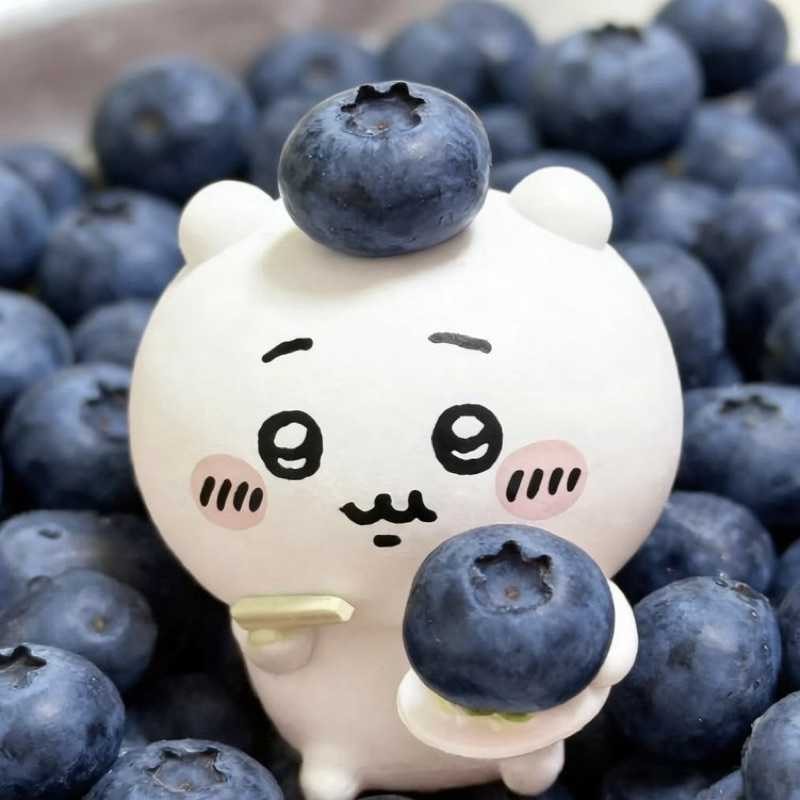 ささき