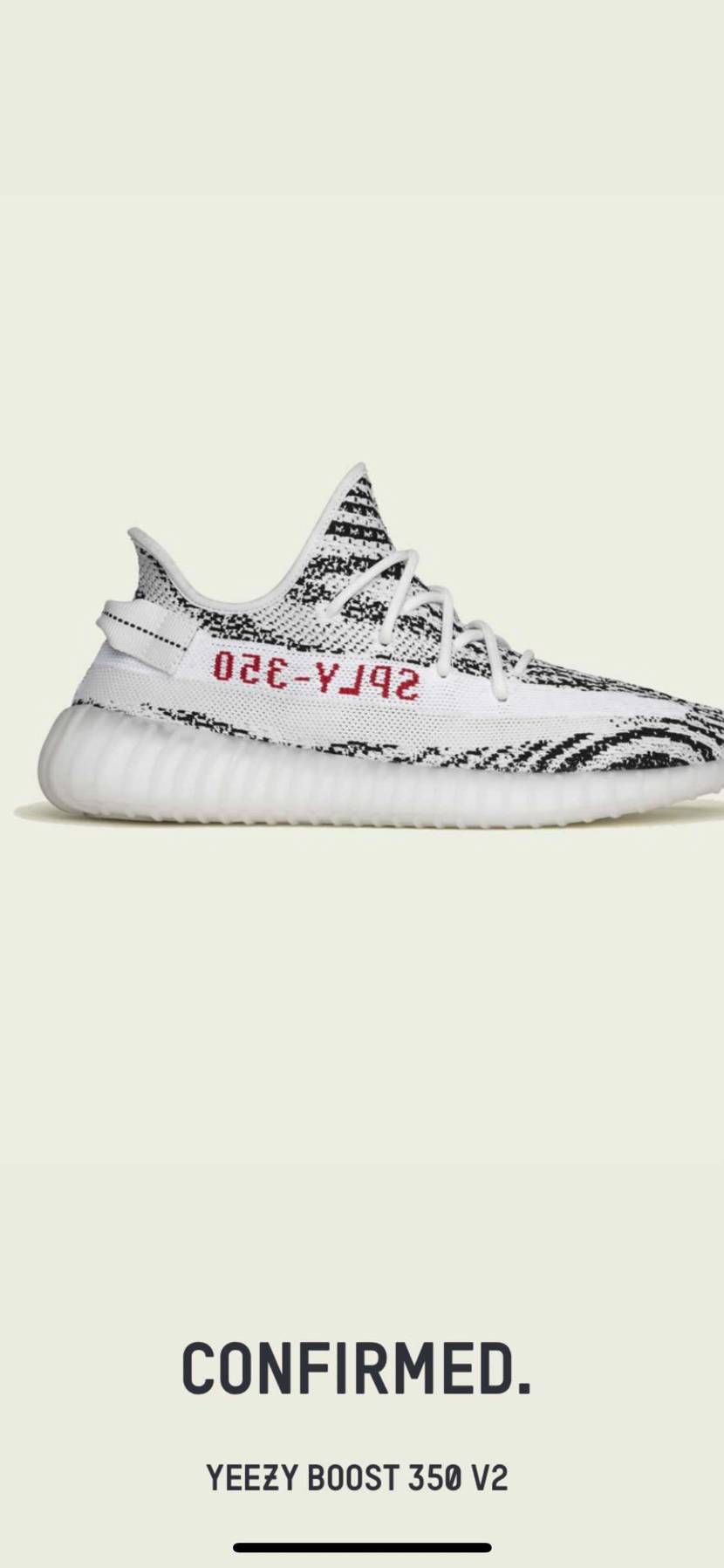 ゼブラが公式で買えるなんて嬉しすぎる。
イージーはフェイク多すぎて😇