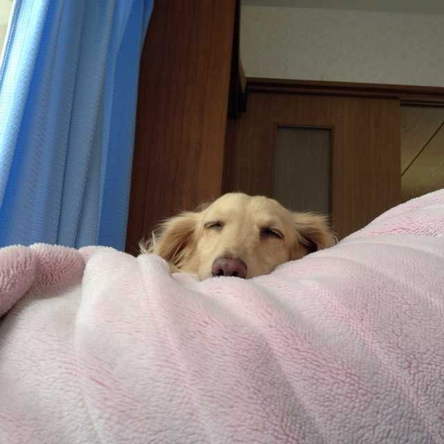☆ヤマト☆