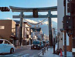 yokohama(出品者)