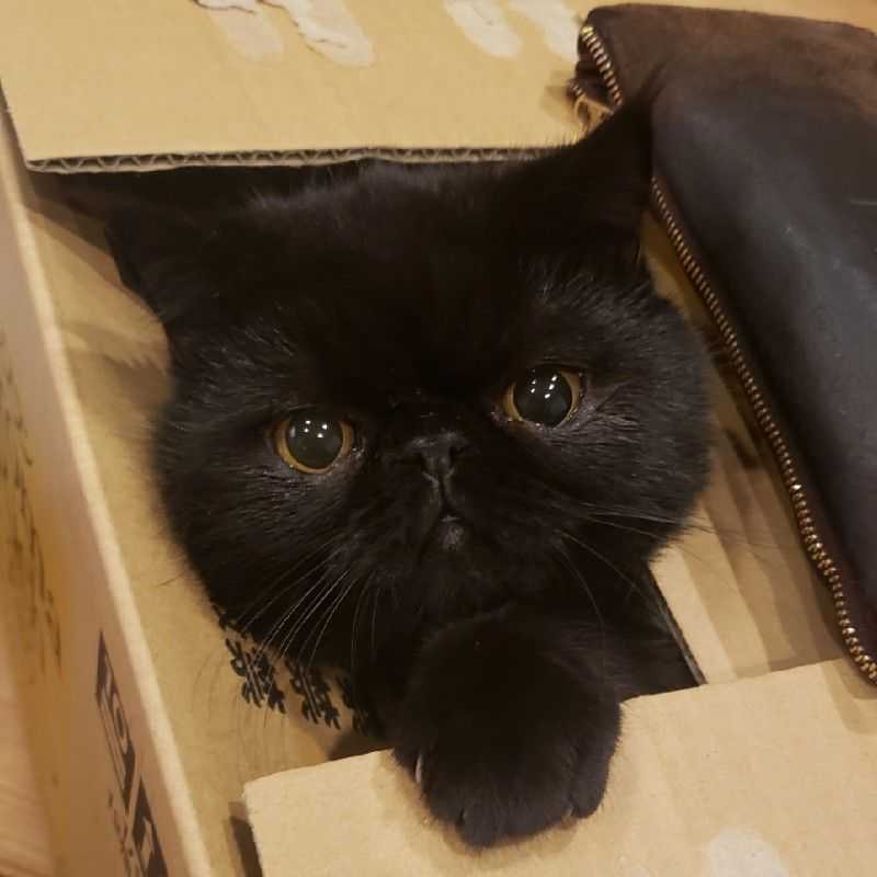 まさ