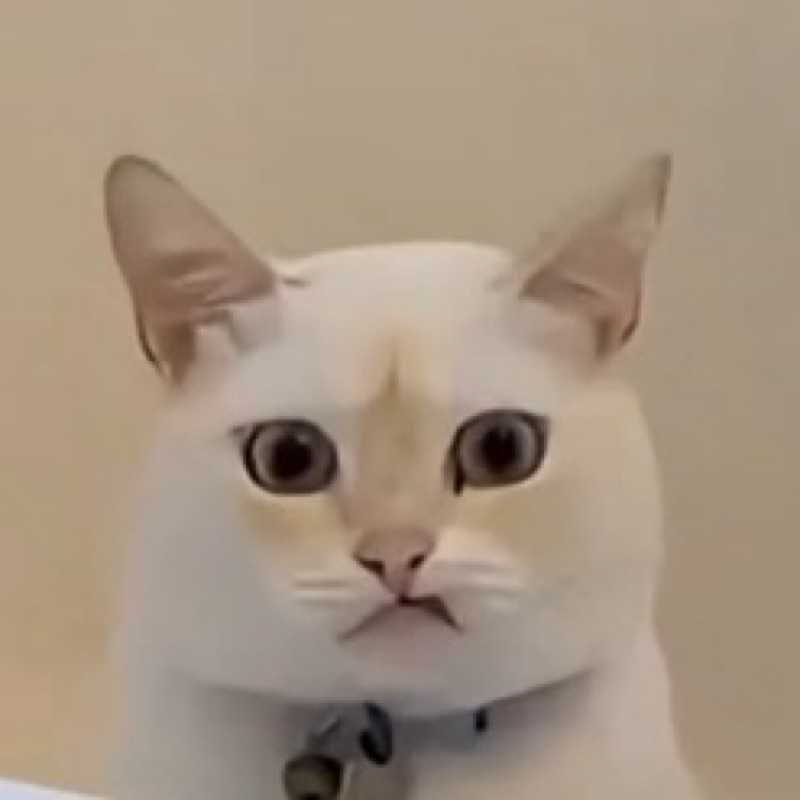 知愛