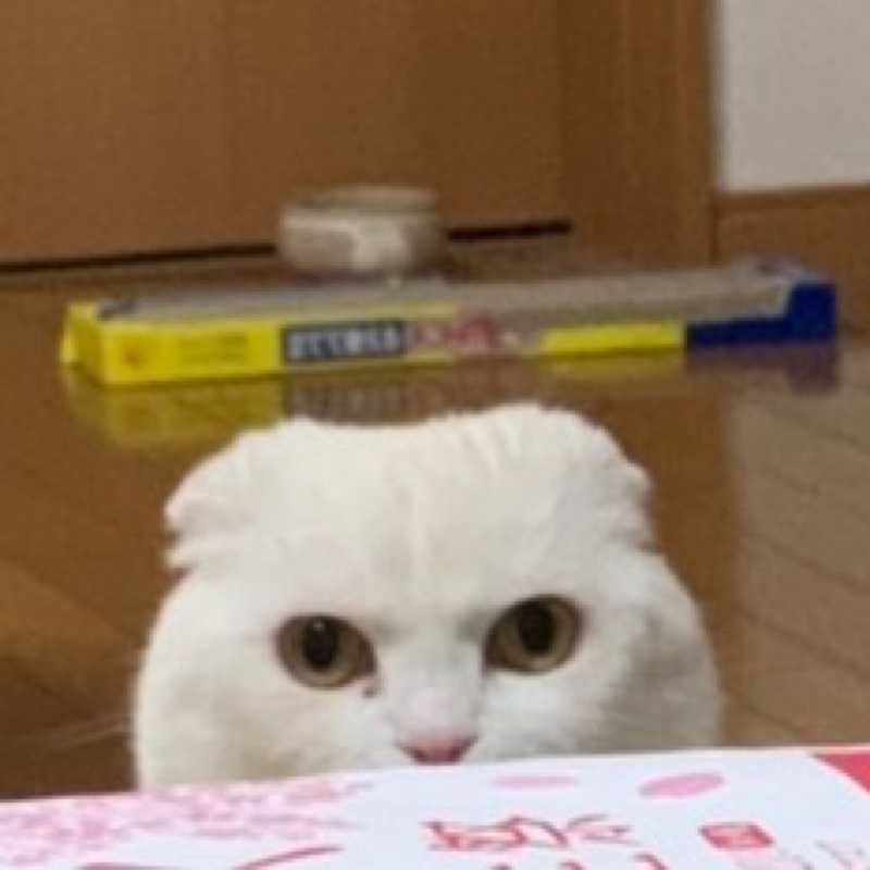 ユーザーアイコン