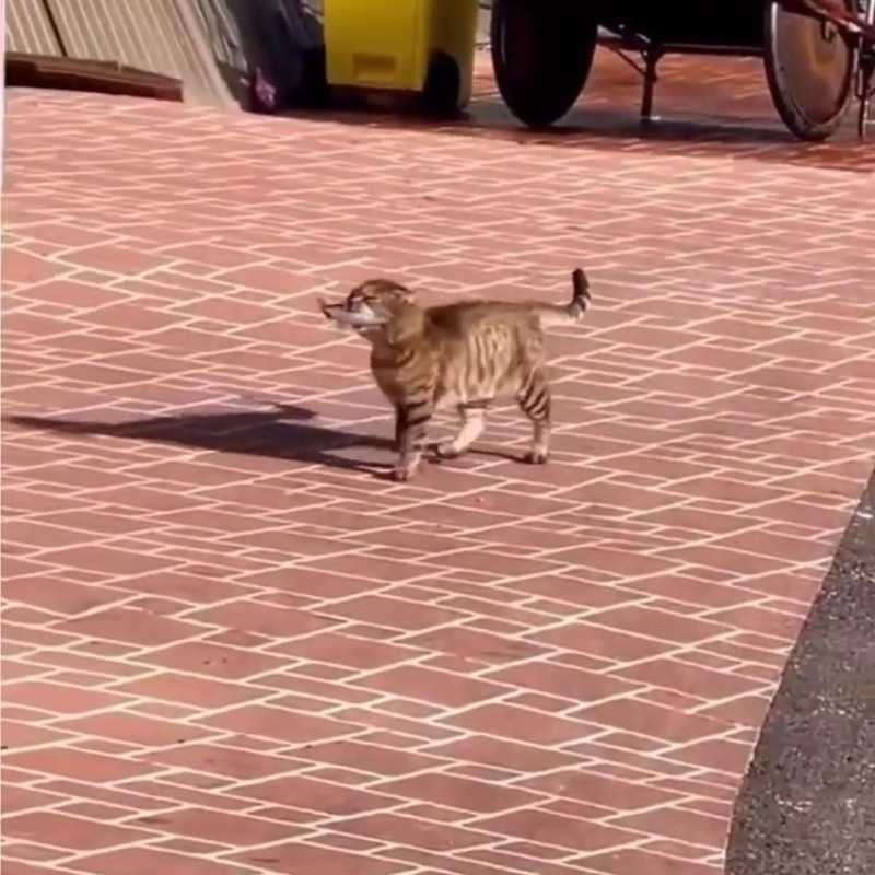 じん
