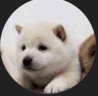 tomosoon
