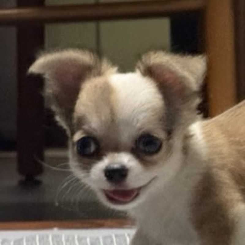佐藤
