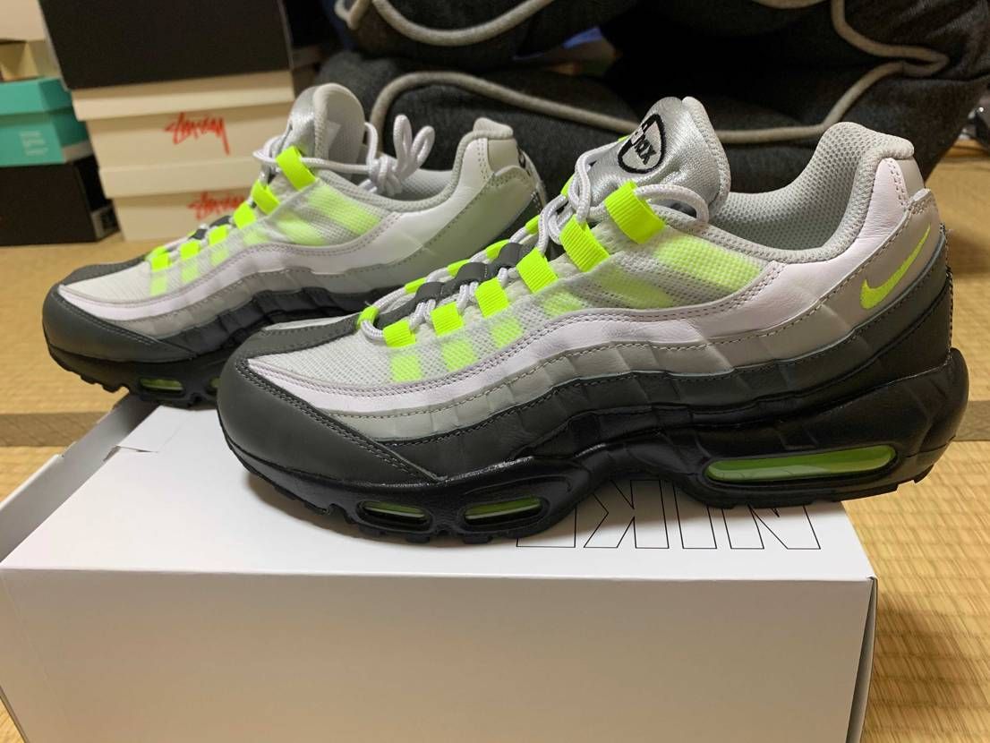 エアマックス95 バイユーきた！