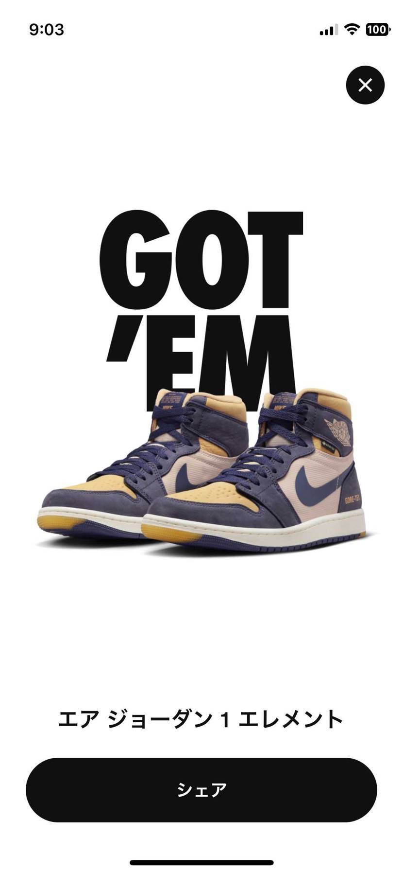 迷いに迷って抽選受けたら買えた👍
雨の日用😊
過去AJ1のゴアテックス見ても