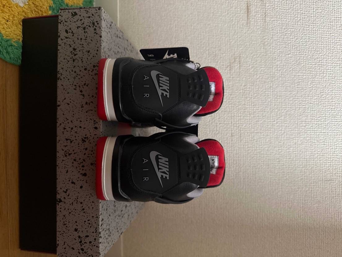 初投稿失礼します。

先日スニダンにてGSのAJ4 Bred Reimagi