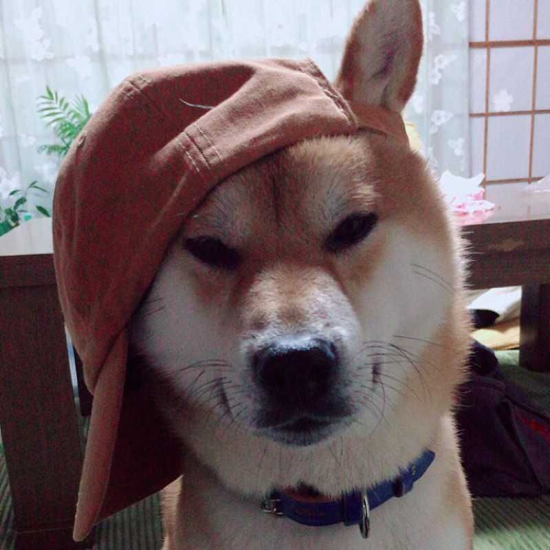 かし
