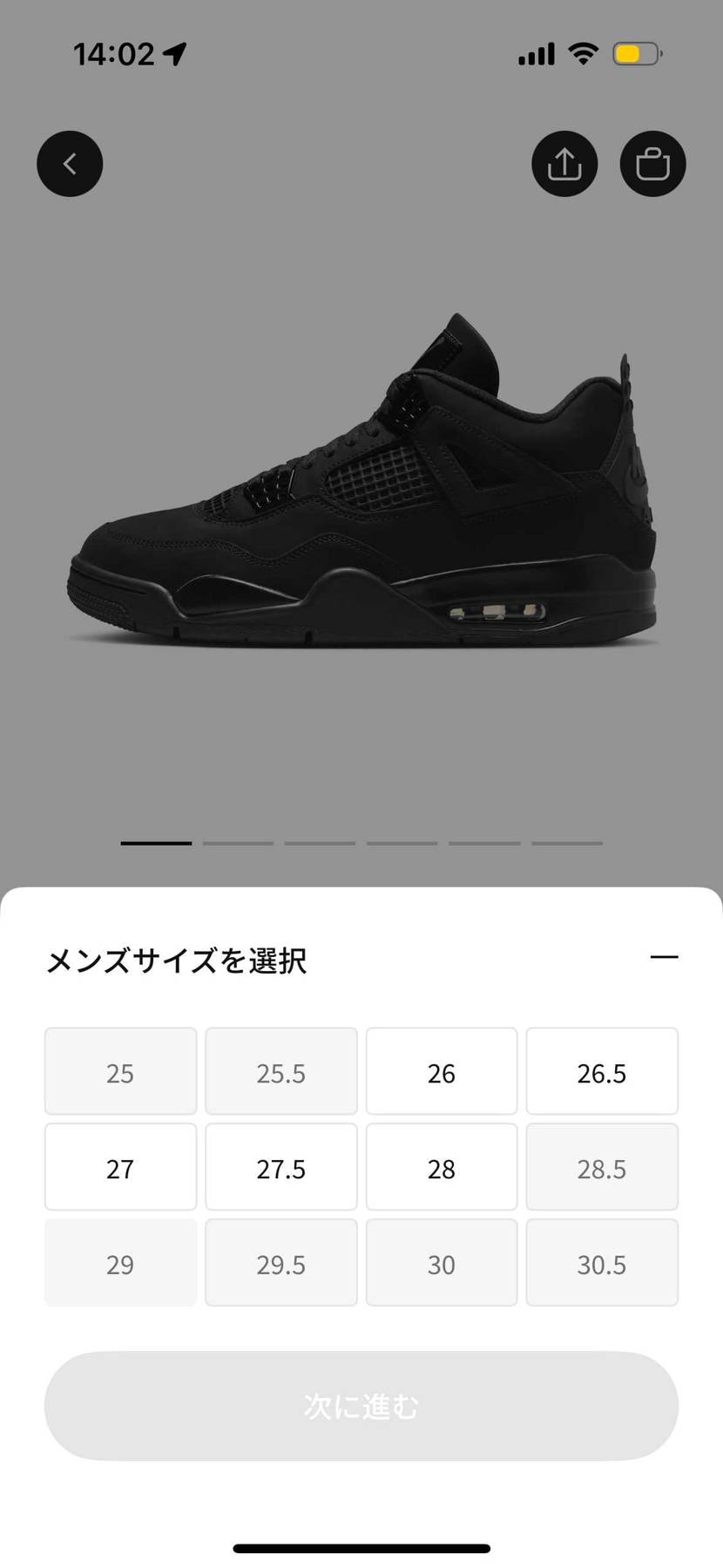 まだ🐿️してます。