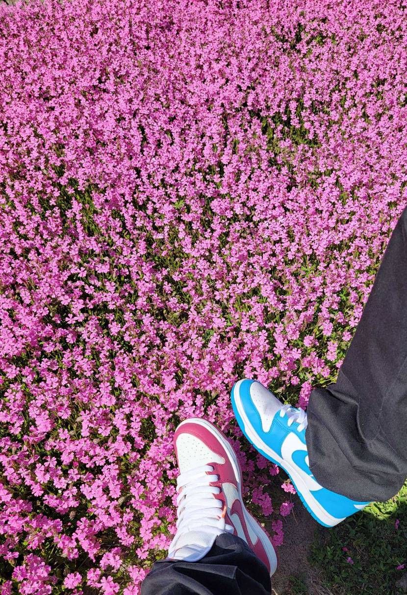 今日はダンクでお花畑🪻
帰りにゴッテムネオンゴッテム😁
