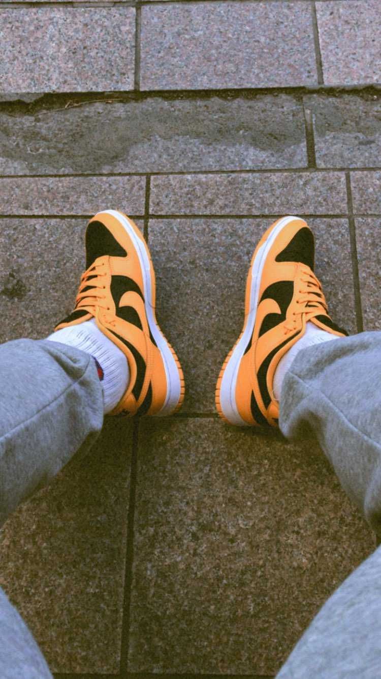 これ去年購入のダンク。
初ダンクでした、