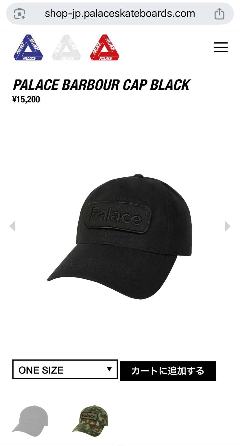 たまたま見てたら🐿️してた✌️ラッキー😆