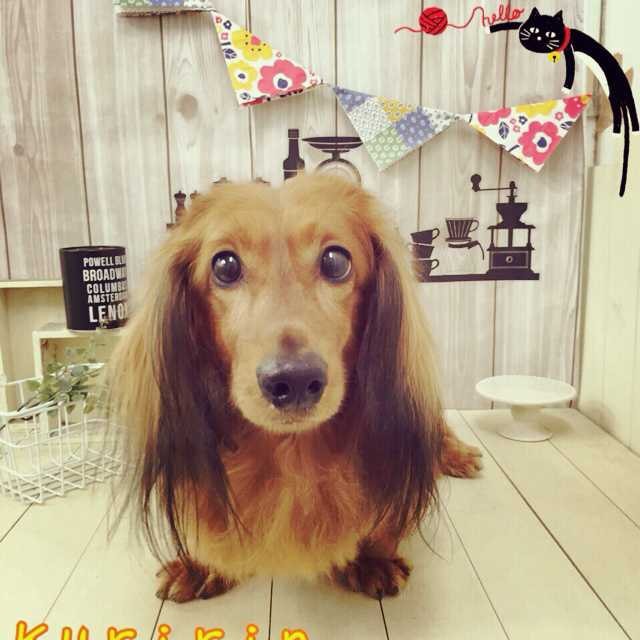 ユーザーアイコン