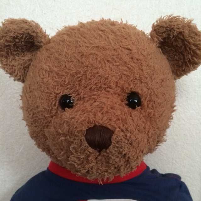 森のクマさん