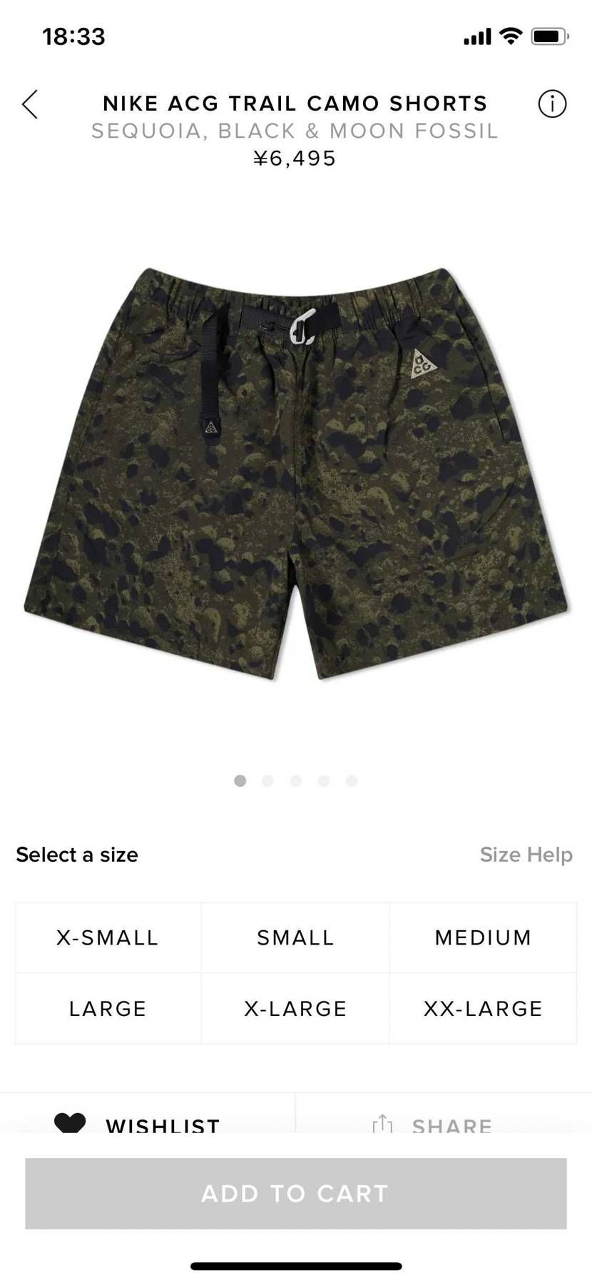  NIKE ACG好きな方　詳しい方
2021夏コレクションで、画像のショーツ