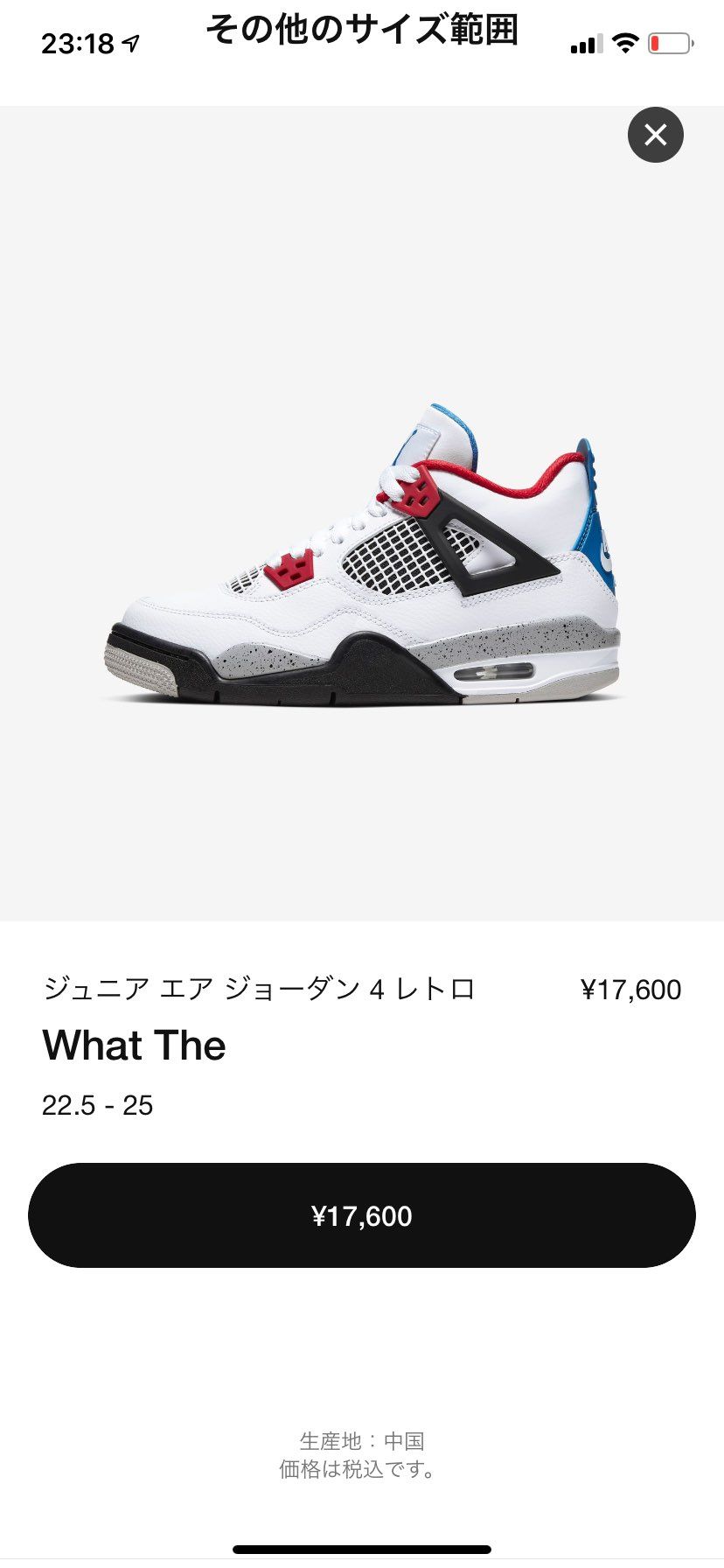 🐿ってますよ！