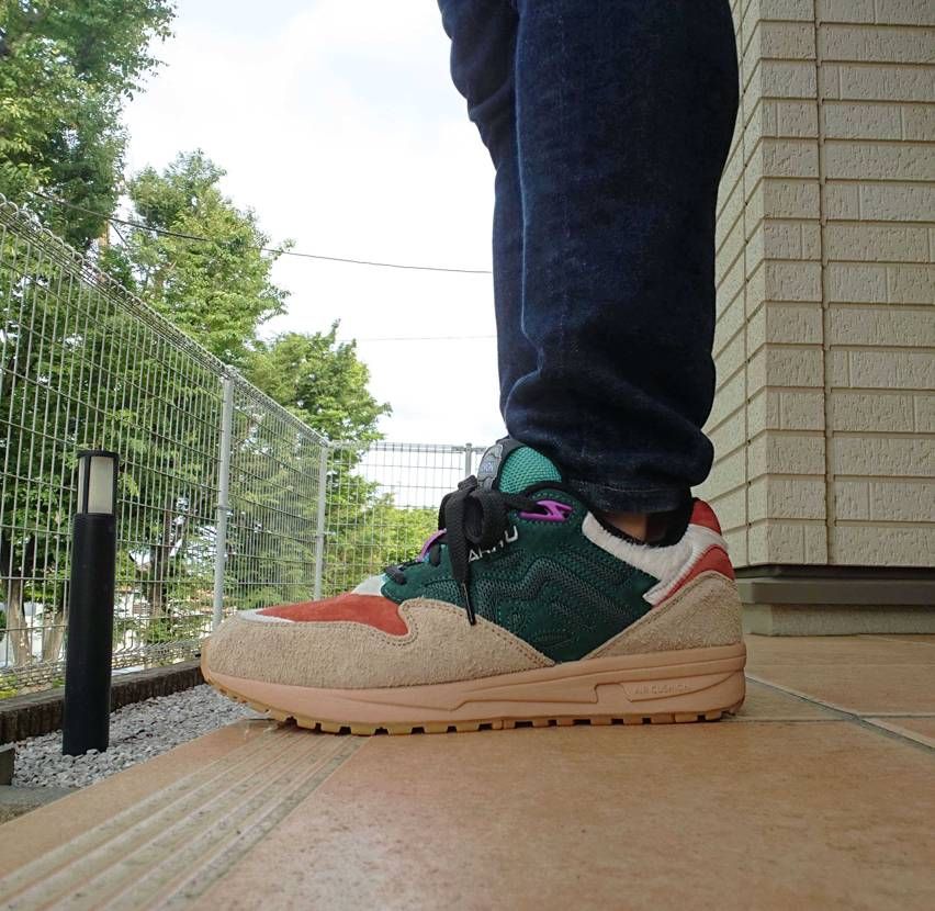 購入するタイミングを逃して後悔していましたが、今更の🐿️&セ