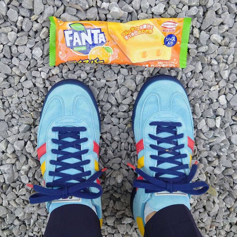 ファン太食べますた😊🍊
