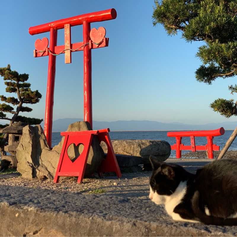 ユーザーアイコン