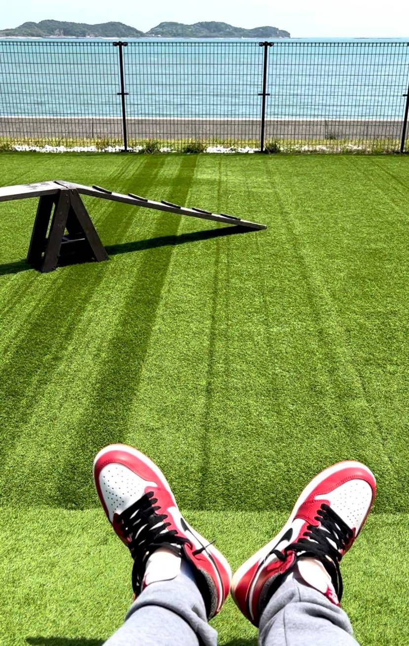 晴れて気持ちいい