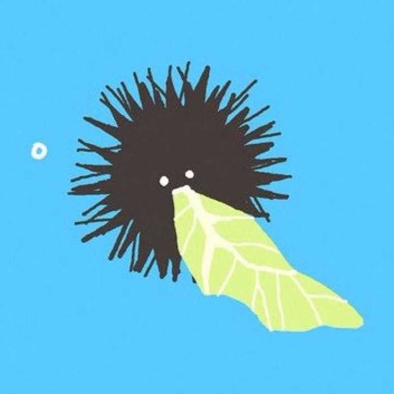 ユーザーアイコン