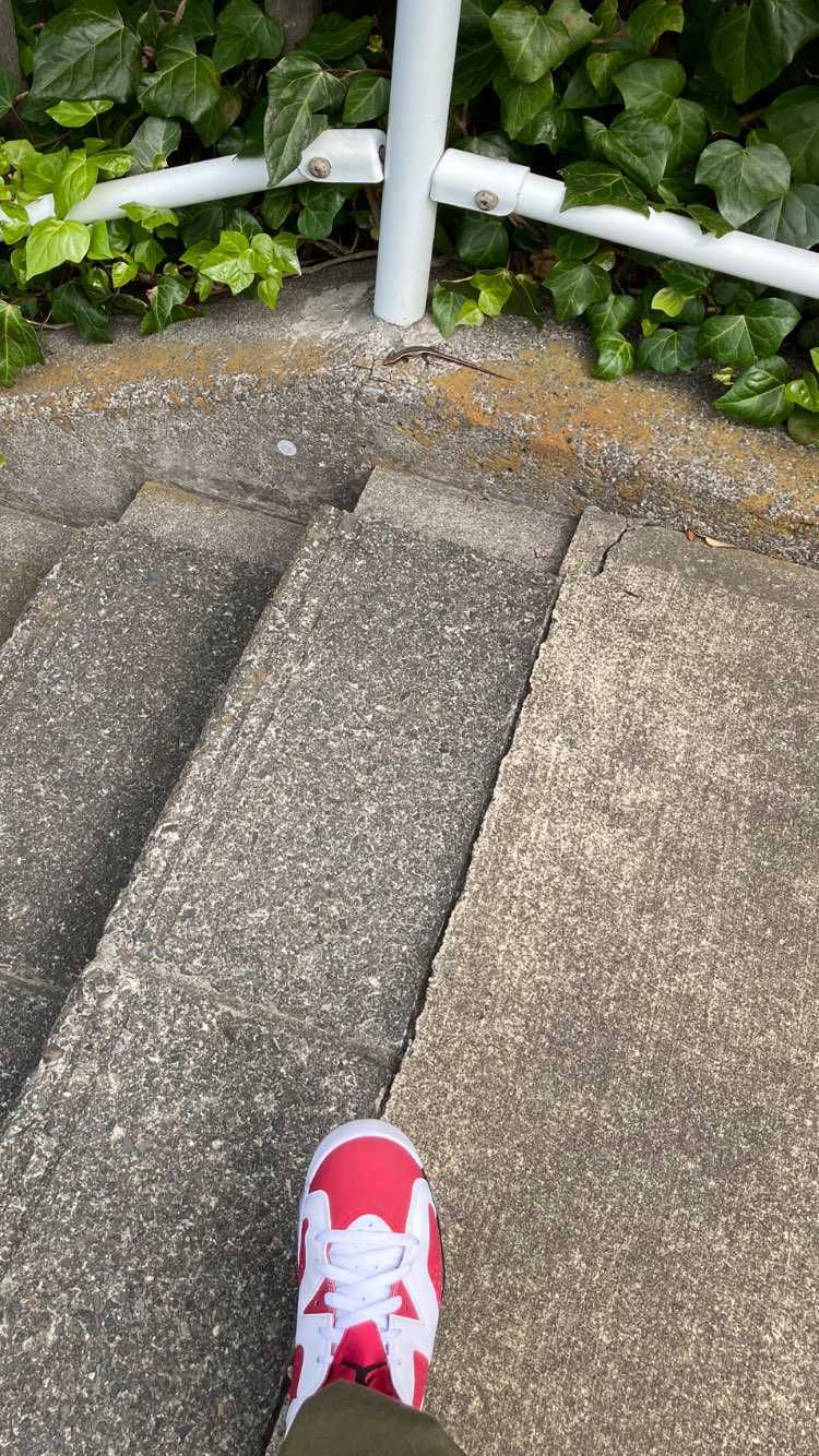 トカゲに会いました。
春ですね〜