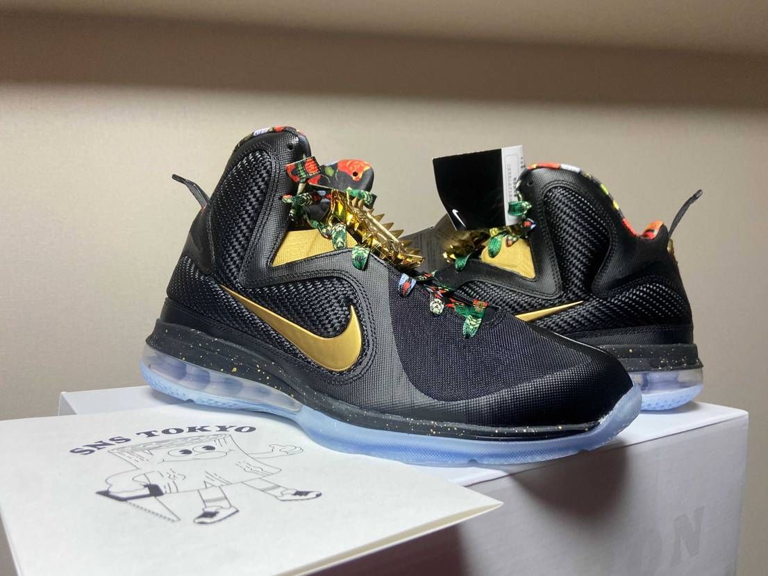 本日到着‼️初のLeBron9 MAX AIRが大きくてビックリ😲定価が高いので